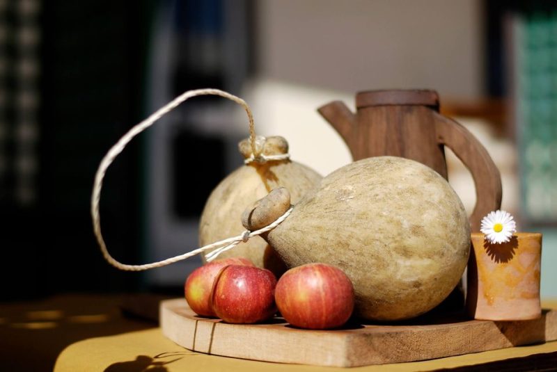 Una giornata insieme - Andar per castagne
