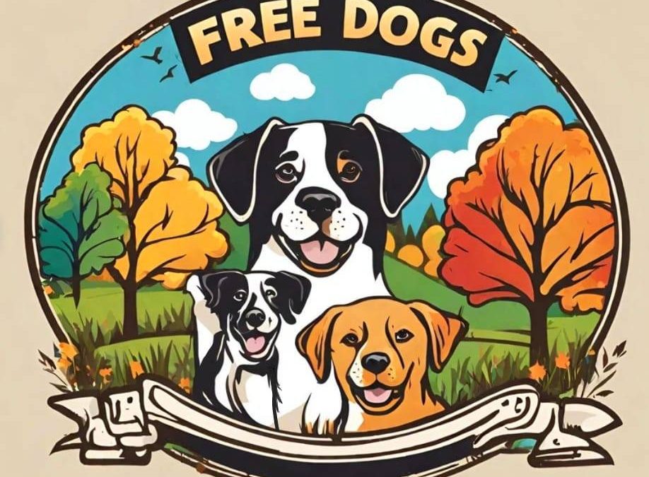 Free Dogs – Pensione per Cani