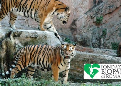 Bioparco Roma