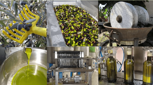 Evento CRAL – Una giornata in Frantoio e tra i sapori dell’Irpinia