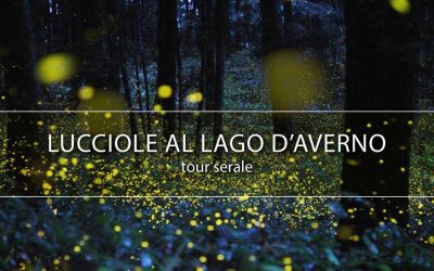 CRAL In Tour – Lucciole e Sibilla al lago d’Averno