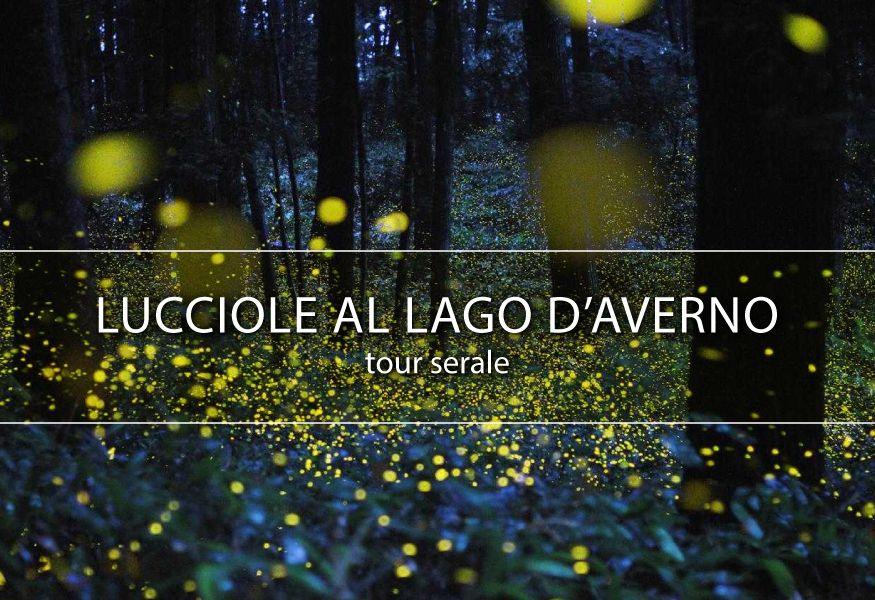 Evento CRAL - CRAL In Tour: Lucciole e Sibilla al lago d’Averno